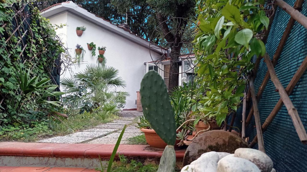 Villetta La Gabbianella Ліворно Екстер'єр фото